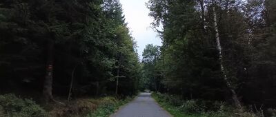 Nad Dolní Malou Úpou