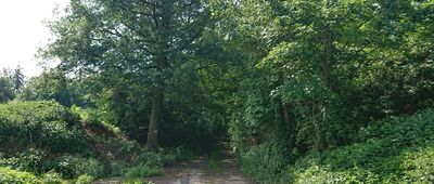 Przełęcz nad Wojsławicami ↔ Przełęcz nad Wojsławicami