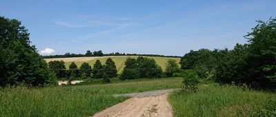 Przełęcz pod Ostrą Górą ↔ Skrzyżowanie nad Niemczą