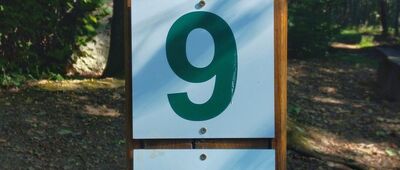 Odejście szlaku spacerowego ↔ Grzybów [Znak na ścieżce dla dzieci ,,Pomocnik leśnika'']