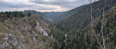 Rozejście szlaków ↔ Rozejście szlaków