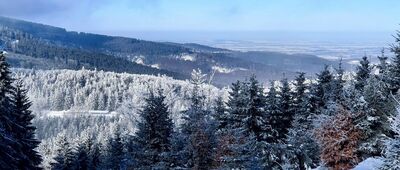 Rozwidlenie nad Zygmuntówką ↔ Zimna Polanka