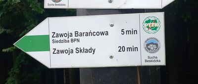 Zawoja, Markowa