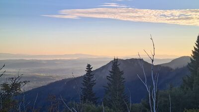 Widok na Sarnią Skałę z Grzybowca o poranku. na horyzoncie widać także m.in. Turbacz, Lubań czy Radziejową.