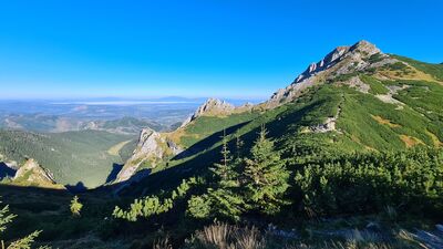 Widok na Giewonty z żółtego szlaku nad Kondracką Przełęczą