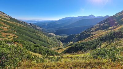 Widok na Dolinę Małego Szerokiego z żółtego szlaku nad Kondracką Przełęczą