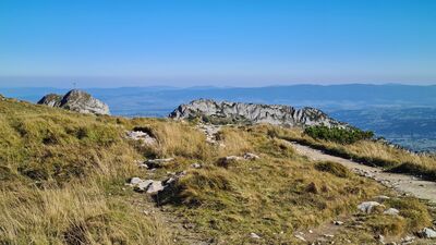 Giewont i Długi Giewont z żółtego szlaku na Kopę Kondracką