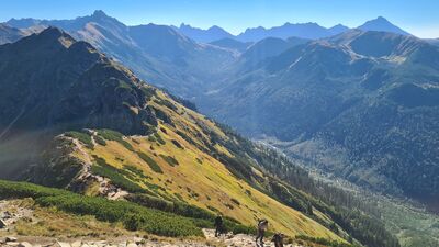 Widok na Cichą Dolinę z czerwonego szlaku. Na drodze Goryczkowa Czuba.