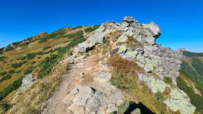 Czerwony Szlak między Suchym Wierchem Kondrackim a Małą Suchą Czubą Kondracką
