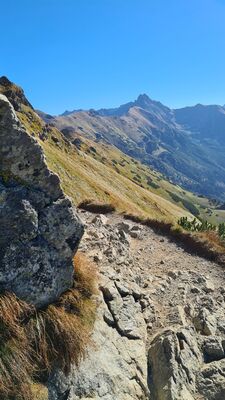 Widok na Świnicę spod Goryczkowej Czuby