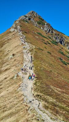 Goryczkowa Czuba z Goryczkowej Przełęczy Świńskiej