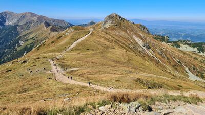 Widok na Beskid z czerwonego szlaku nad Przełęczą Liliowe