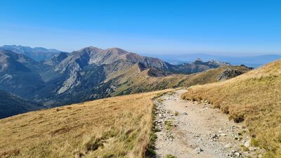 Skrót poza szlakiem omijający Pośrednią Turnię