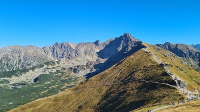 Widok z Kasprowego Wierchu w kierunku Świnicy