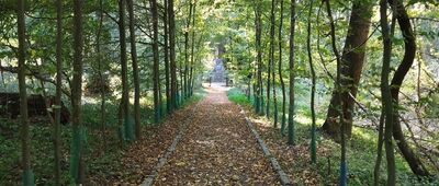 Rezerwat Kopiec Kościuszki [Do Kopca Kościuszki prowadzi krótka 65-metrowa alejka.]