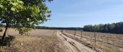 Solec ↔ Pomorze, Chodelka