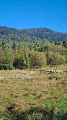 Luboń Wielki - cel podróży można poznać po charakterystycznym maszcie przekaźnikowym