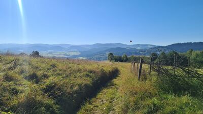 Widok w kierunku Turbacza z łąki przy żółtym szlaku
