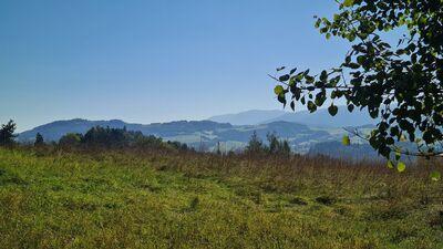 Widok w kierunku Gorc/Kudłoń z łąki przy żółtym szlaku