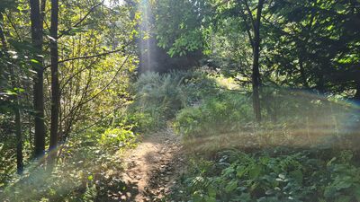 Żółty szlak na Luboń Wielki