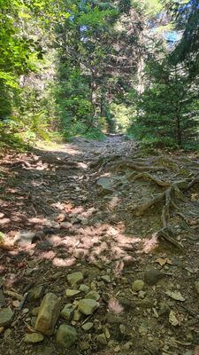 Żółty szlak na Luboń Wielki