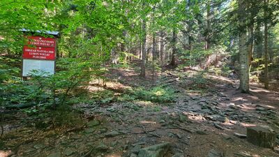 Początek Rezerwatu Przyrody Luboń Wielki