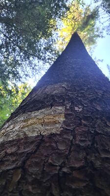 Żółty szlak na Luboń Wielki