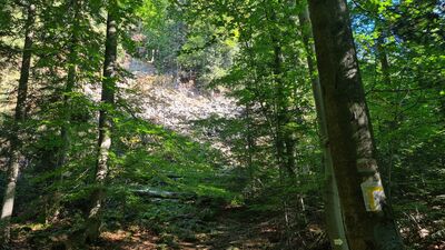 Pierwsze zetknięcie się z rumowiskiem. Uwaga na szlak! Zatracony widokiem wdrapałem się na skały w tym miejscu i musiałem zawracać.