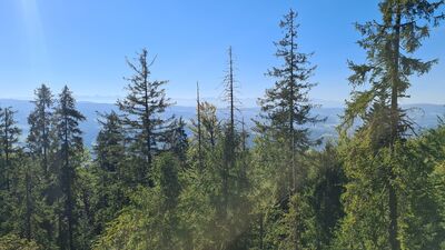 Panorama Tatr z rumowiska pod Luboniem Wielkim