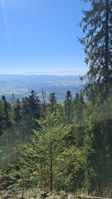 Widok na Tatry z rumowiska pod Luboniem Wielkim