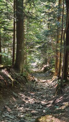 Niebieski szlak na Luboń Wielki