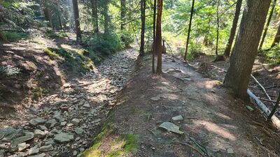 Niebieski szlak na Luboń Wielki