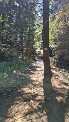 Niebieski szlak na Luboń Wielki