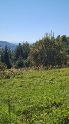 Tatry widziane z niebieskiego szlaku na Luboń Wielki