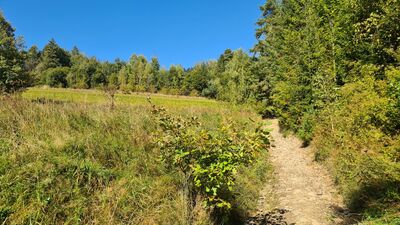 Niebieski szlak na Luboń Wielki
