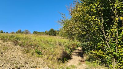 Niebieski szlak na Luboń Wielki