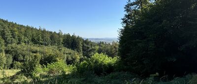 Rozejście szlaków ↔ Rozdroże pod Szczytną