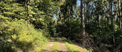 Rozejście szlaków ↔ Rozdroże pod Szczytną