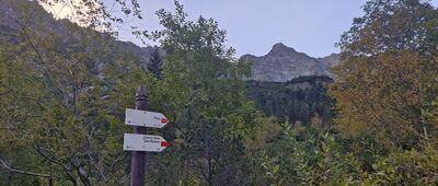 Morskie Oko, pod Czarnym Stawem [Kierunek Rysy]