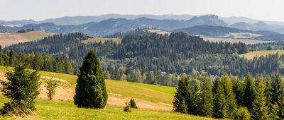 Łapsze Niżne ↔ Pod Holowcem (Kopylcem) [Widok na Pieniny]