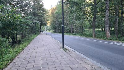 Ulica Przewodników Tatrzańskich z Kuźnic