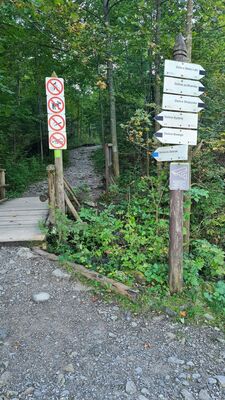 Wejście do Doliny Ku Dziurze z Drogi Pod Regalmi