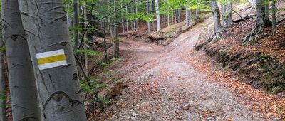 Przełęcz Isepnicka ↔ Raztoka [Beskid Mały - z Raztoki na Przełęcz Isepnicką]