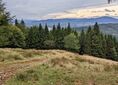 Las Czarnoci ↔ Skrzyżowanie szlaków pod Kościelcem [Beskid Mały - Beskid Śląski ze stoków Kościelca]