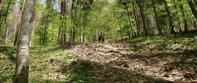 Rozejście szlaków
