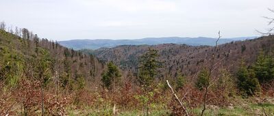 Polana Skałka ↔ Przełęcz Żłobki, rozejście szlaków