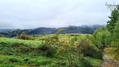 Widok z czarnego szlaku na Kudłoń w kierunku Lubomierz Królewska Góra