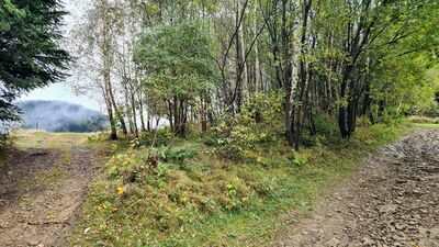 Czarny szlak na Kudłoń z Lubomierza