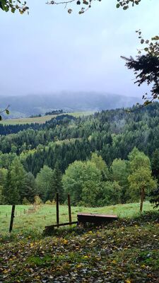 Widokowa ławeczka przy czarnym szlak na Kudłoń z Lubomierza