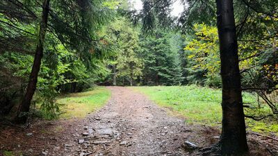 Czarny szlak na Kudłoń z Lubomierza